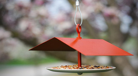 BirdFeeder